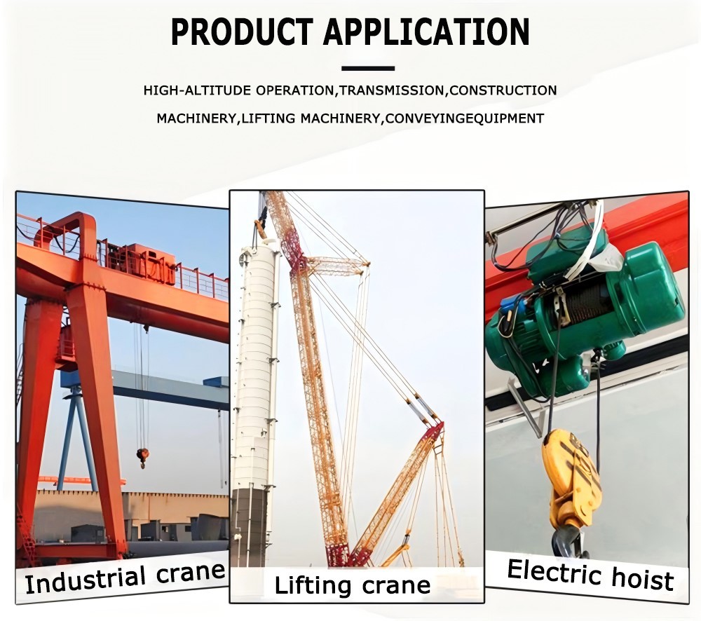 F24-12D Industrial Hoist Wireless Remote Control for eot crane application-Rayvanbo F24-12D Industrial Hoist Wireless Remote Control for eot crane application-Rayvanbo